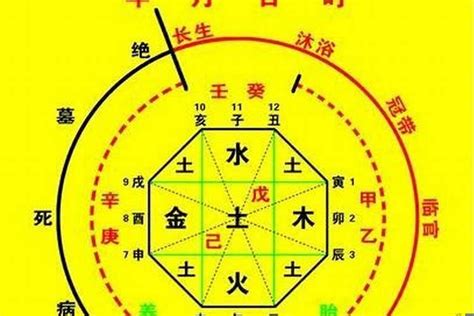 本命五行查詢|生辰八字算命、五行喜用神查詢（免費測算）